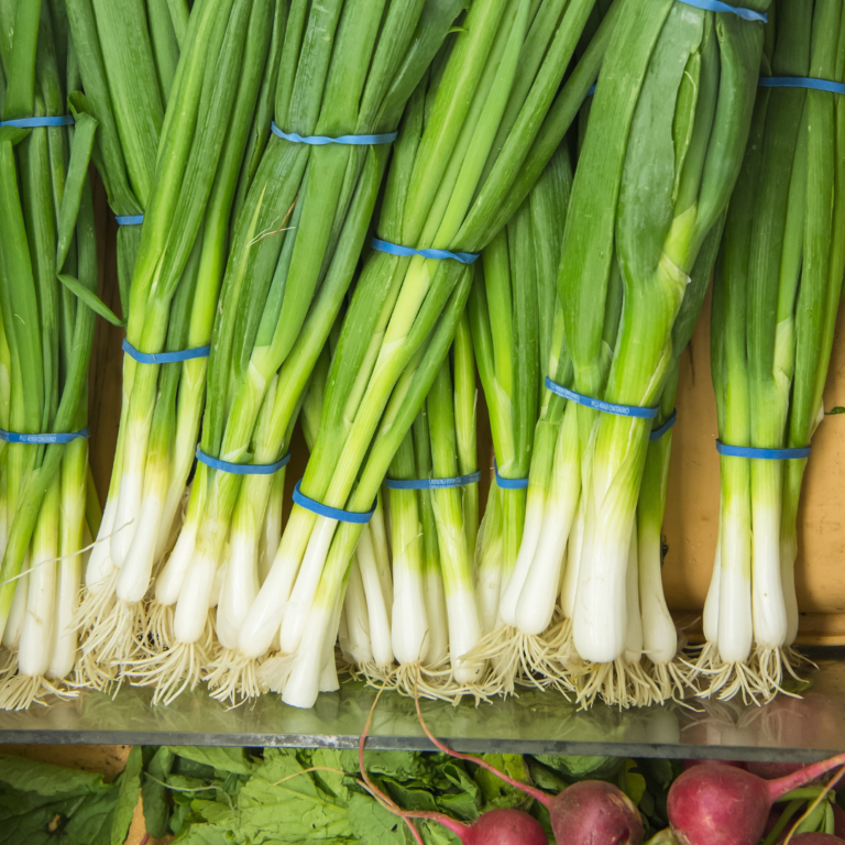 how to grow green onions