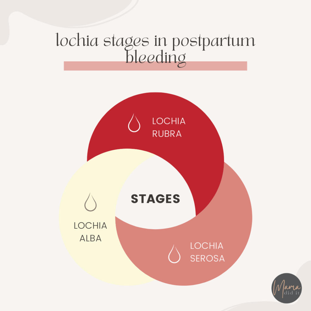 what are the 3 types of lochia