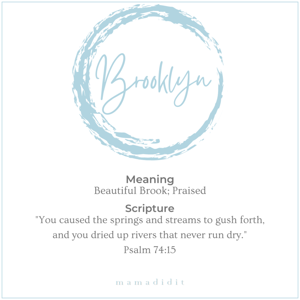 meaning of the name brooklyn